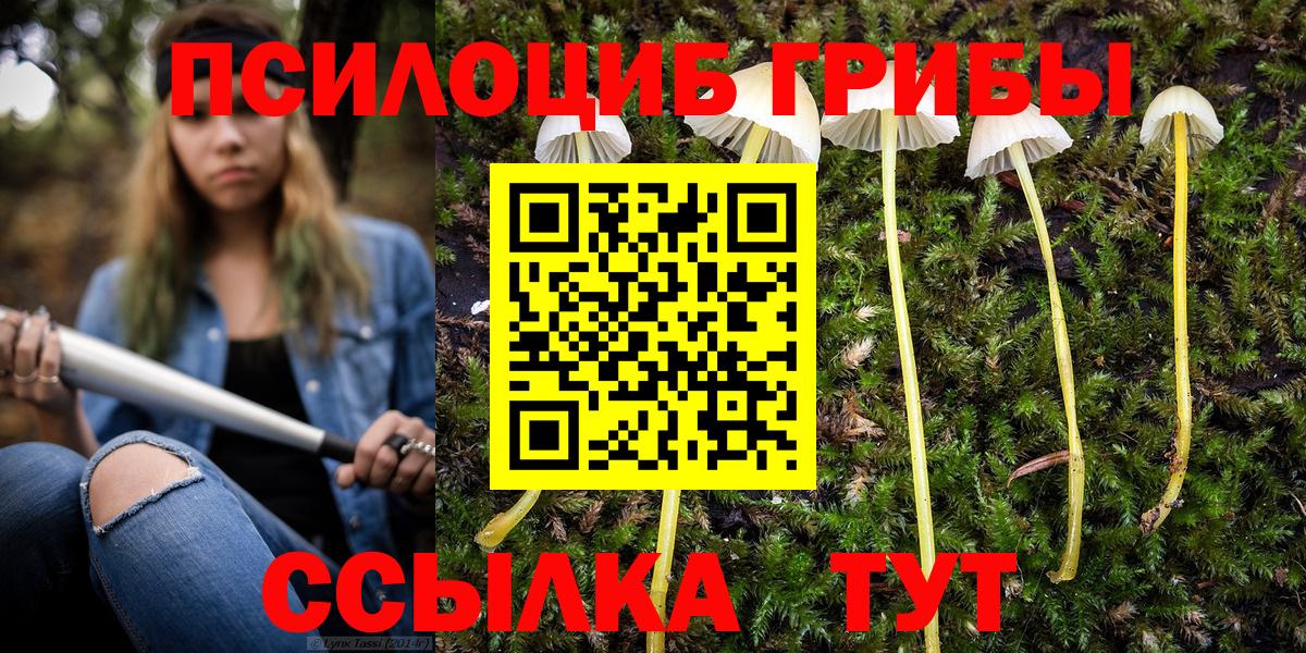 Псилоцибиновые грибы GOLDEN TEACHER  купить наркоту  Вход с VPN  Назарово  Псилоцибиновые грибы Psilocybe 
