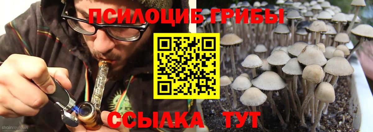Псилоцибиновые грибы GOLDEN TEACHER Назарово